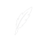 PostWrite
